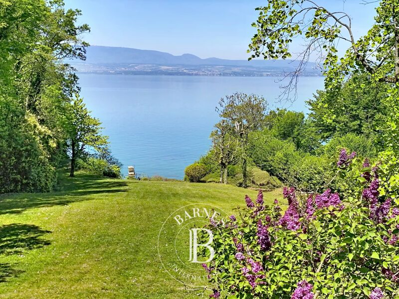 Thonon-les-Bains - Waterfront villa - Pontoon - 7... - picture 2