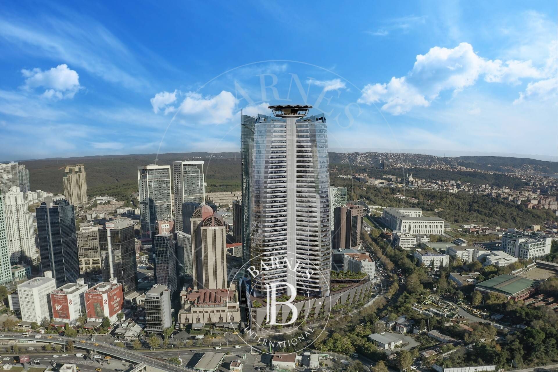 Iconic Architecture and Breathtaking Bosphorus Views - picture 1