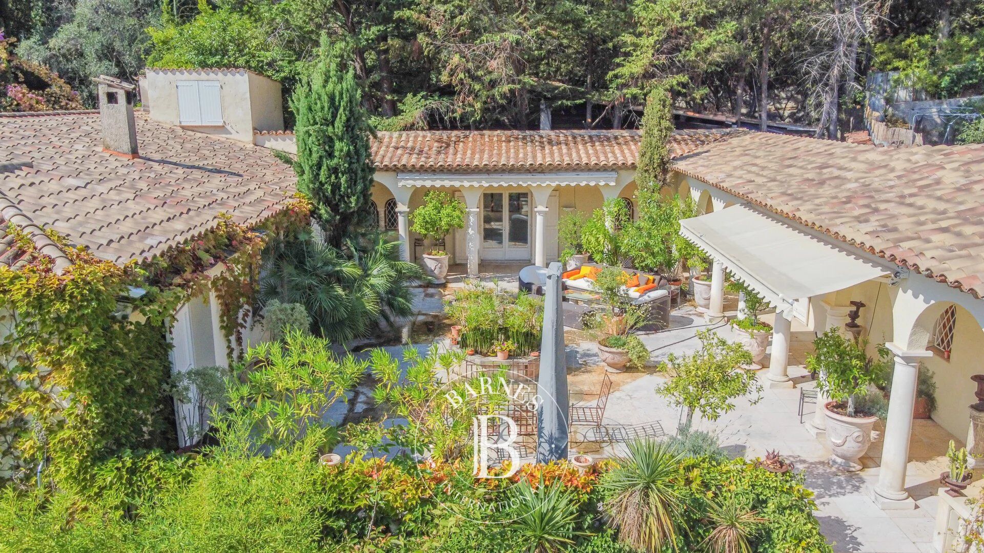 Ev Grasse - picture 10