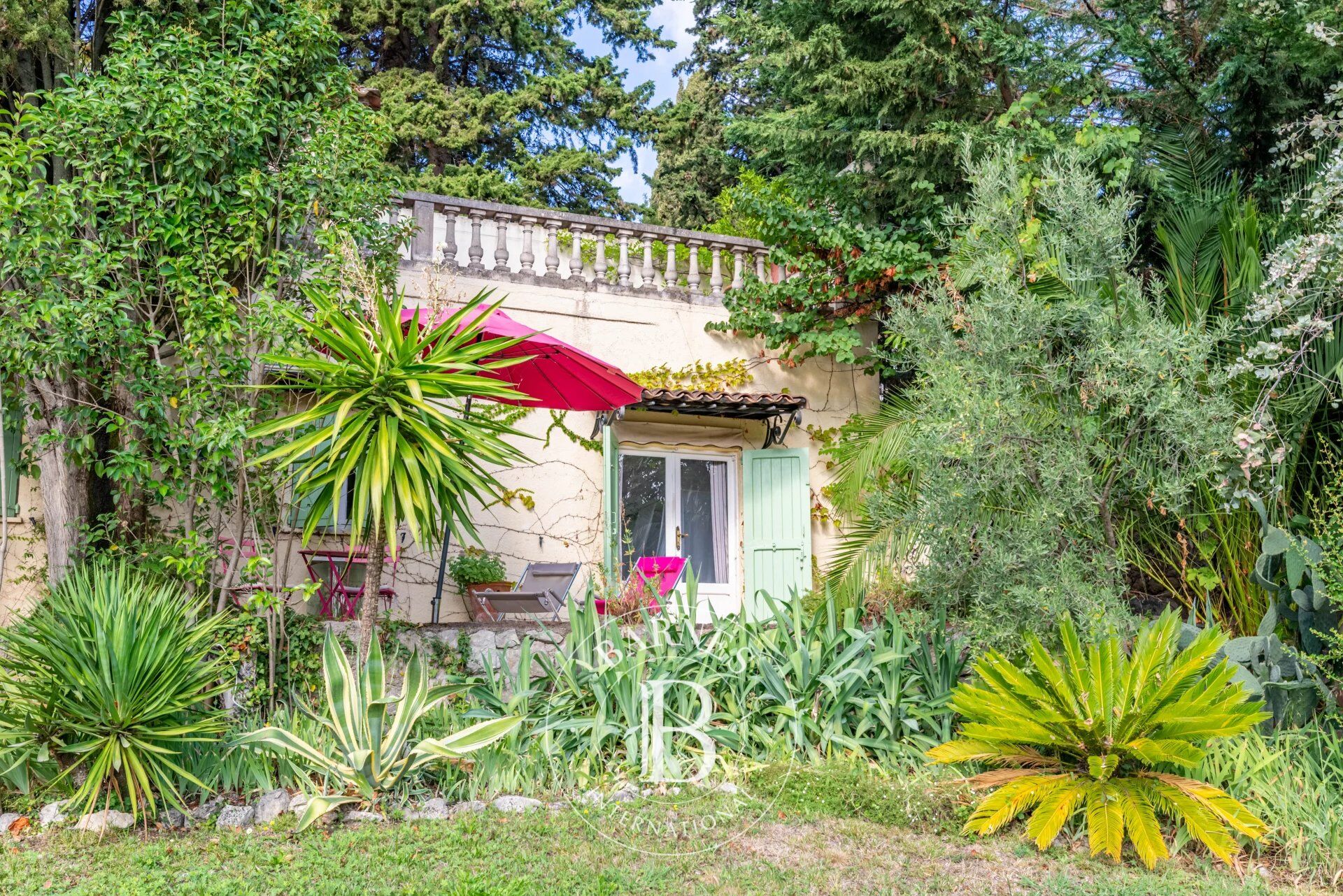 Ev Grasse - picture 15