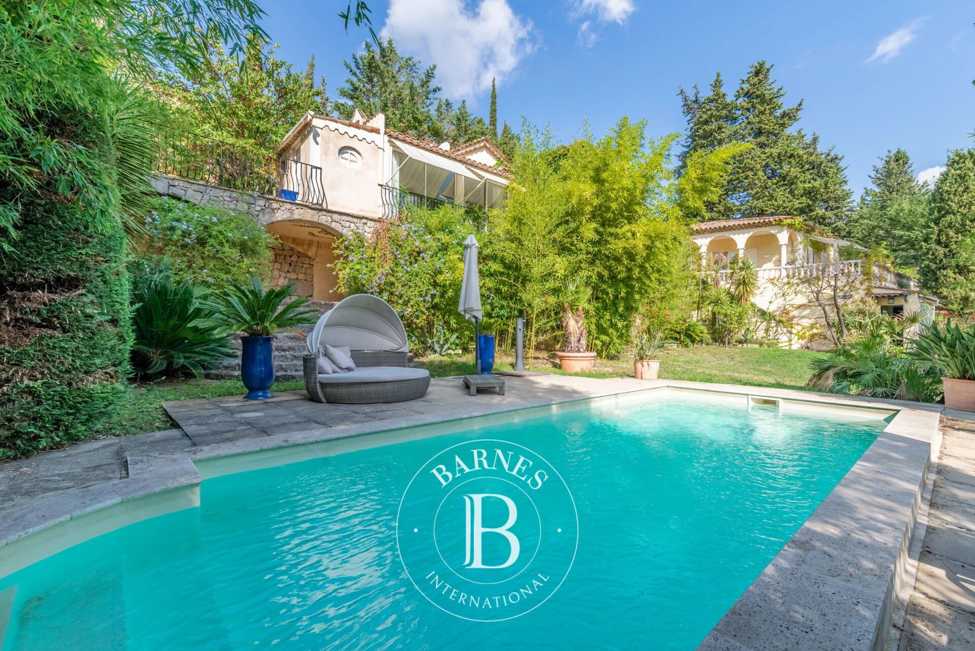 Ev Grasse - picture 12