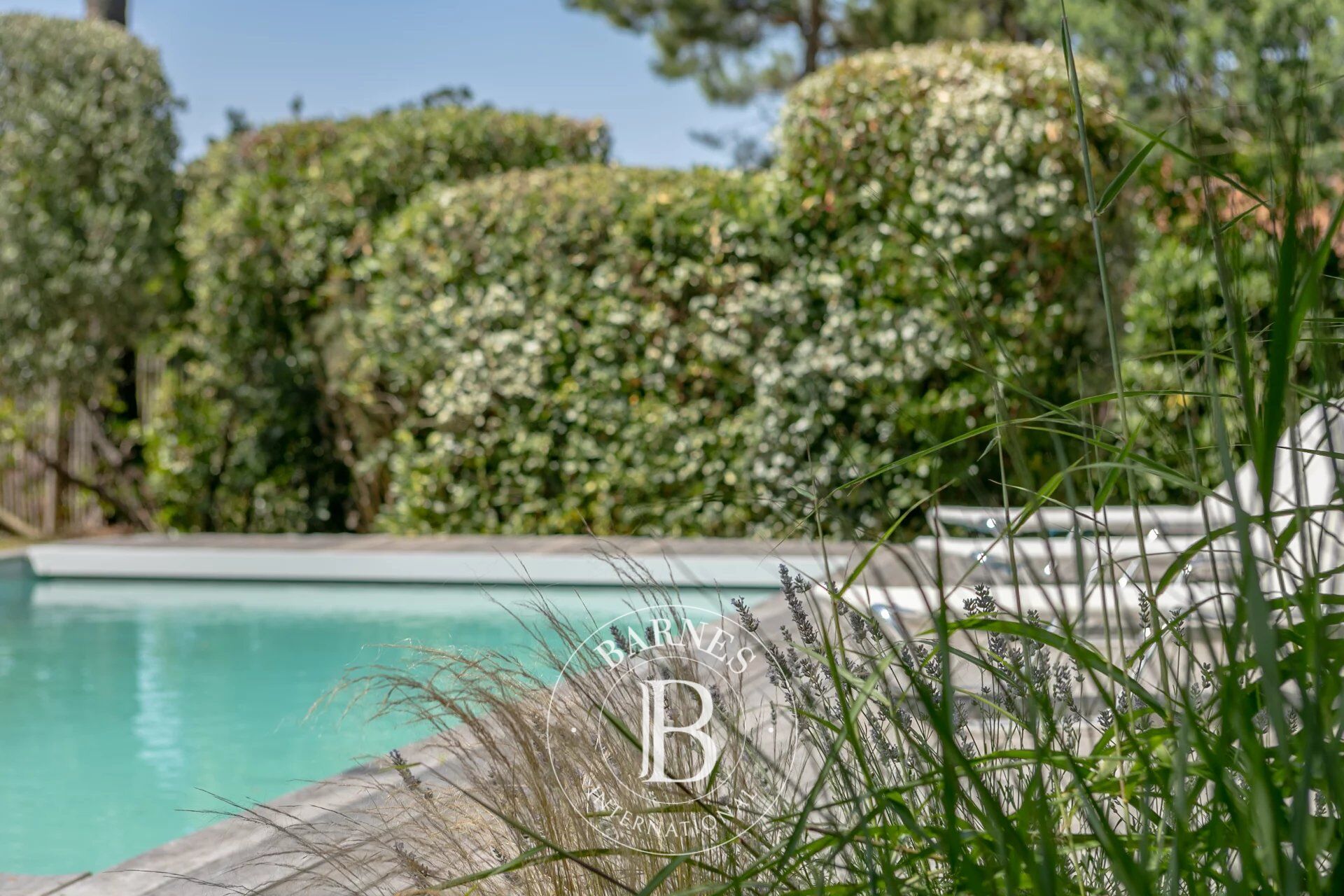 MAGNIFIQUE VILLA AVEC VUE PANORAMIQUE SUR LA FORÊT AU CANON, CAP FERRET - picture 2