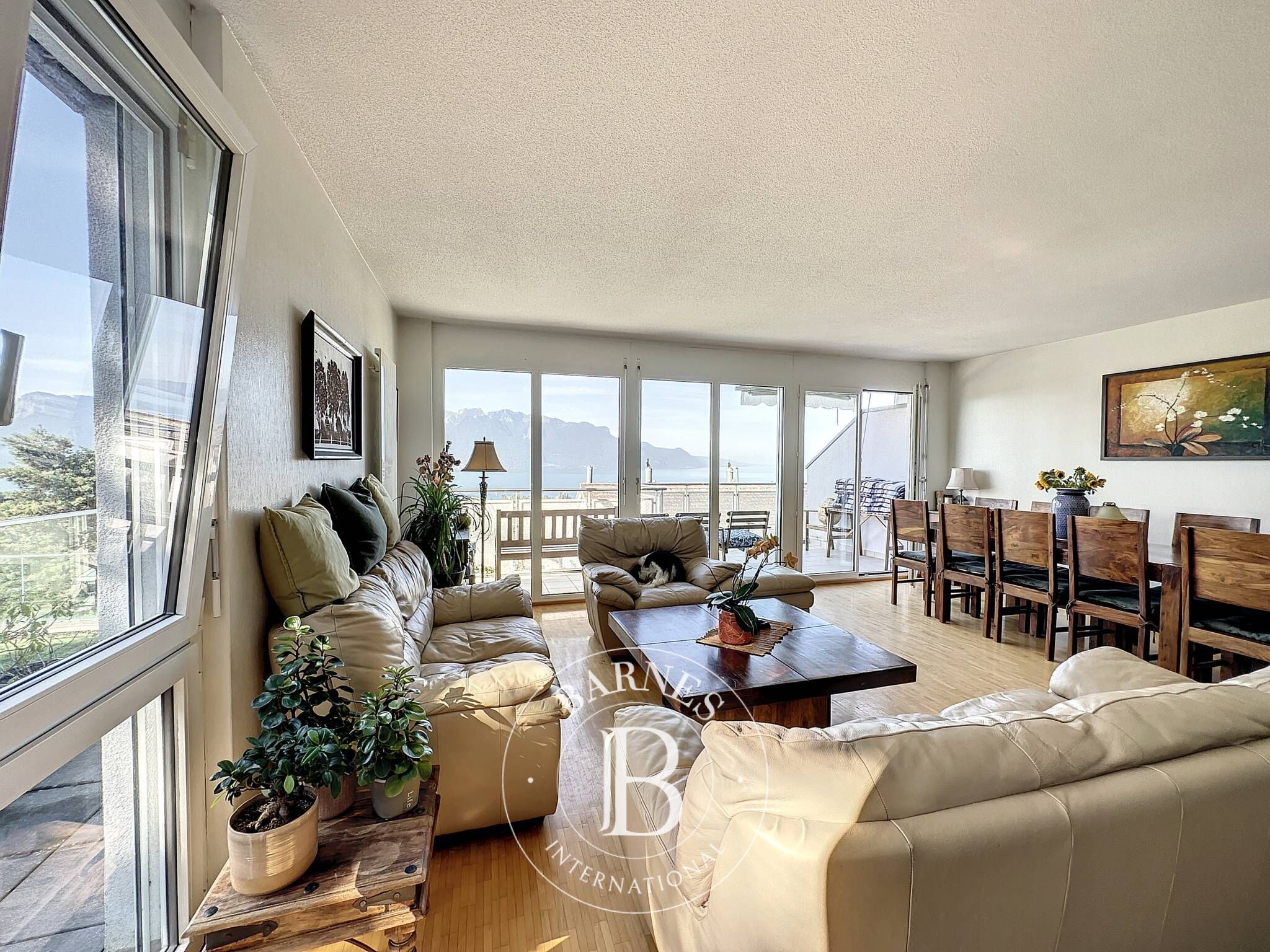 Villa Blonay - picture 5