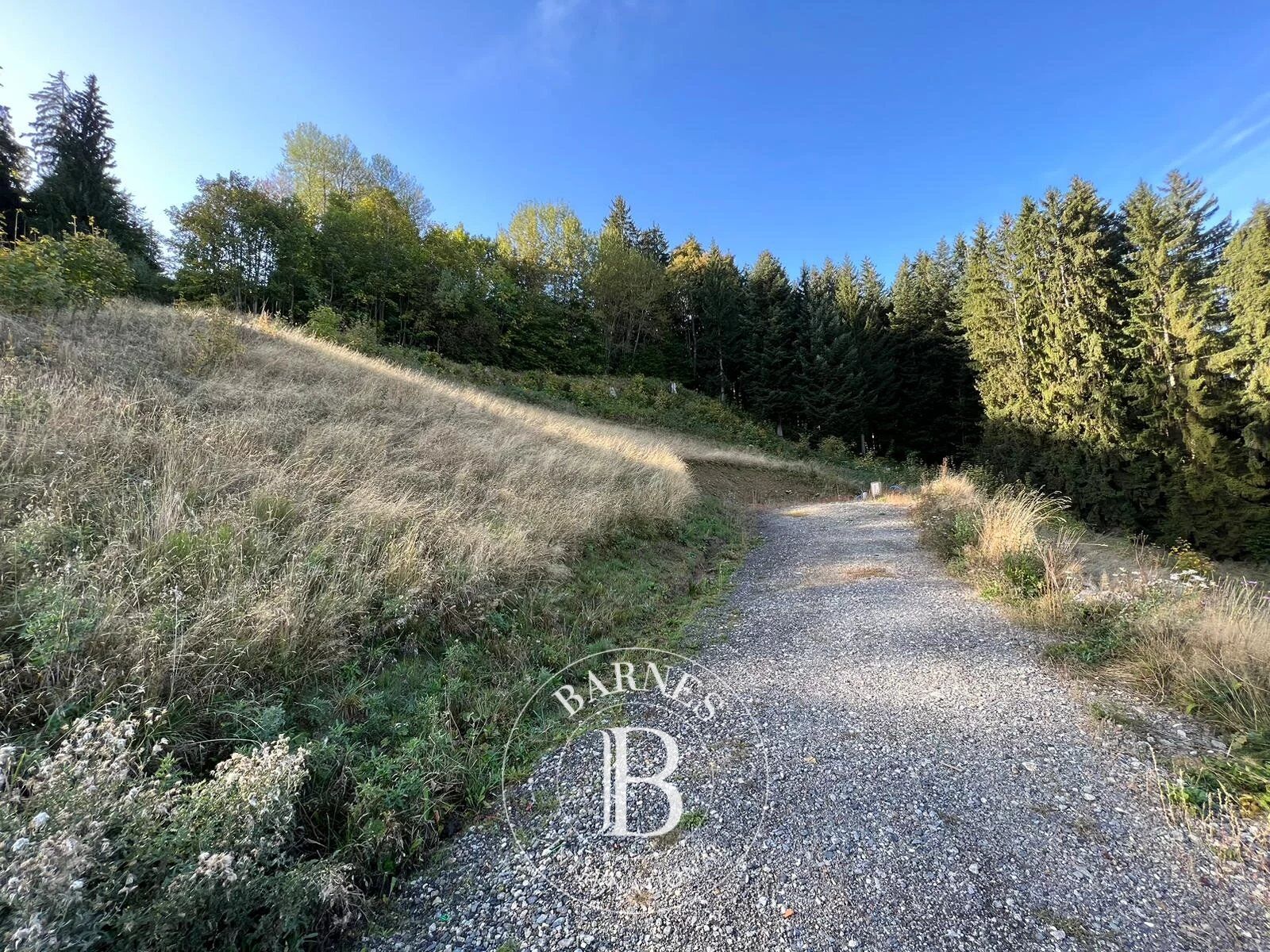 Arazi Saint-Gervais-les-Bains - picture 9