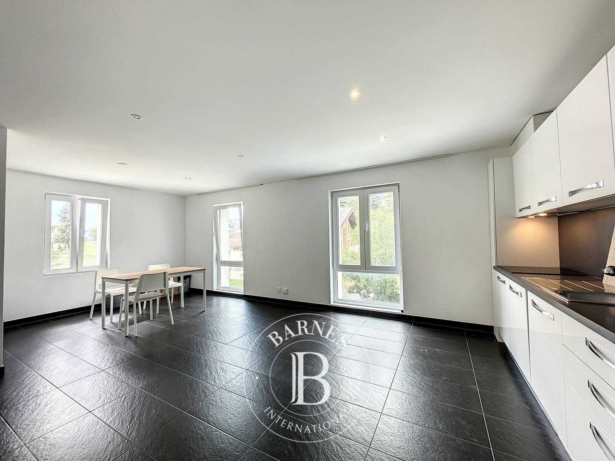 Daire Salquenen - picture 7