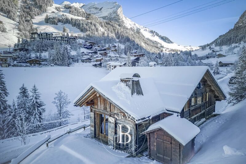 Venta Chalet | La Clusaz - picture 1