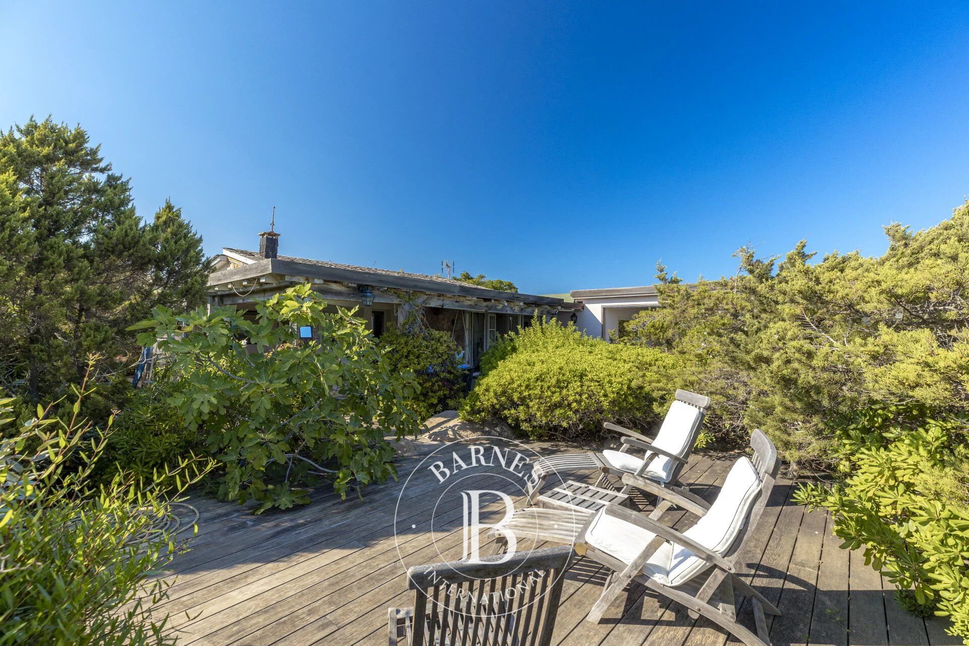 Cavallo island - Authentic sheepfold - 3 bedrooms - picture 1