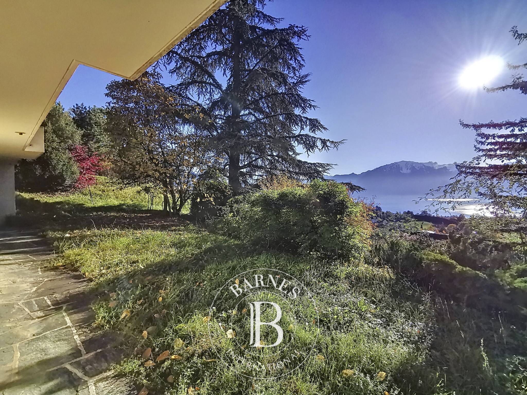 Villa Blonay - picture 5