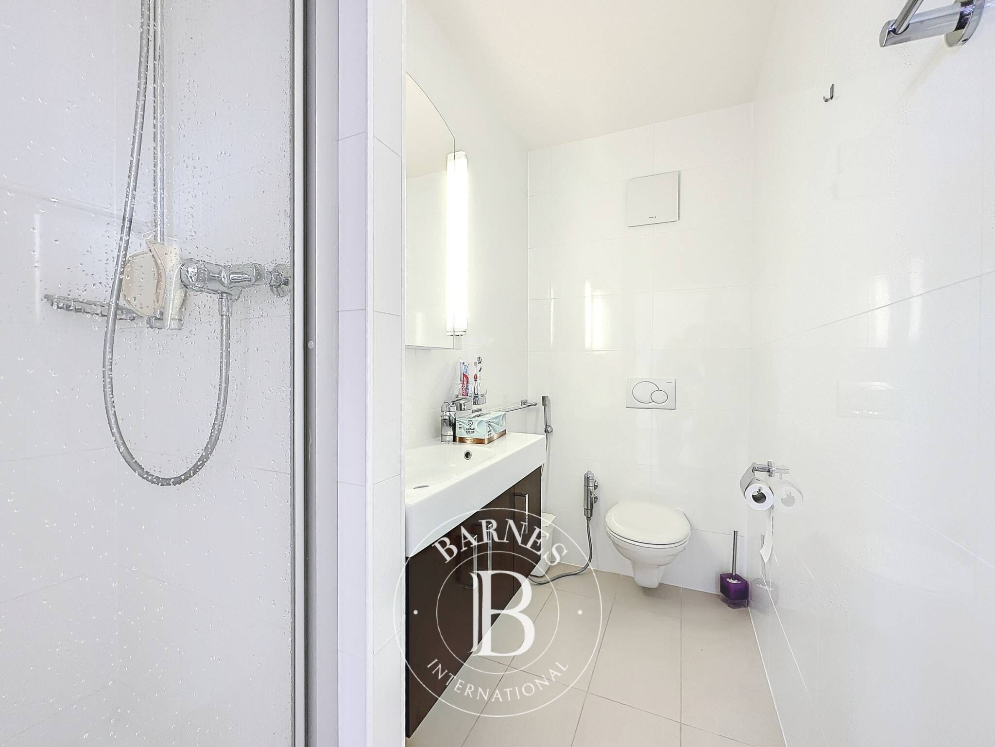 Daire Montreux - picture 7