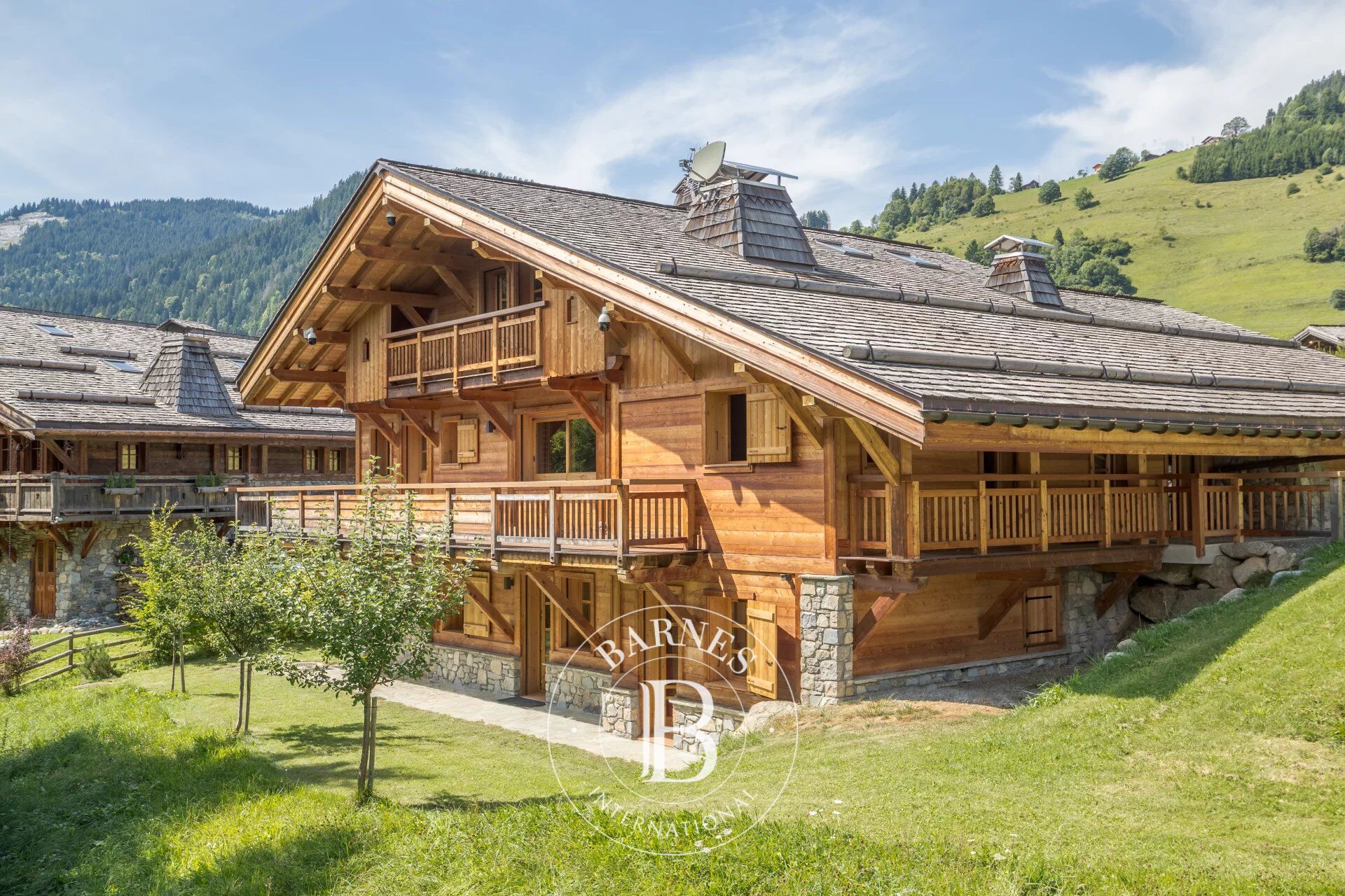 CHALET FIZZ - picture 1