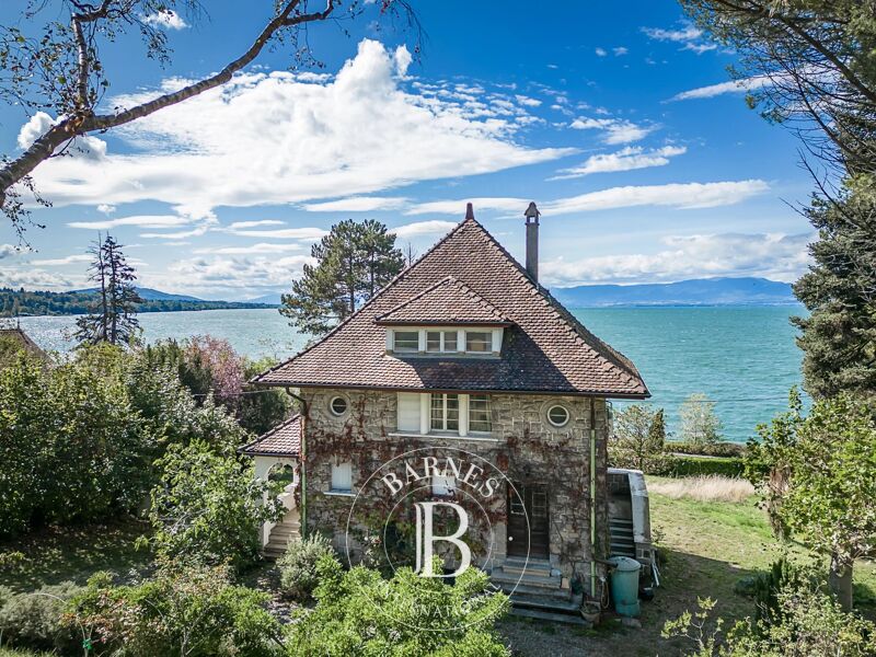 Thonon-les-Bains - Close to the pier and the city center - Manson house of 200 sqm - 3 bedrooms - Park of 4 084 sqm
