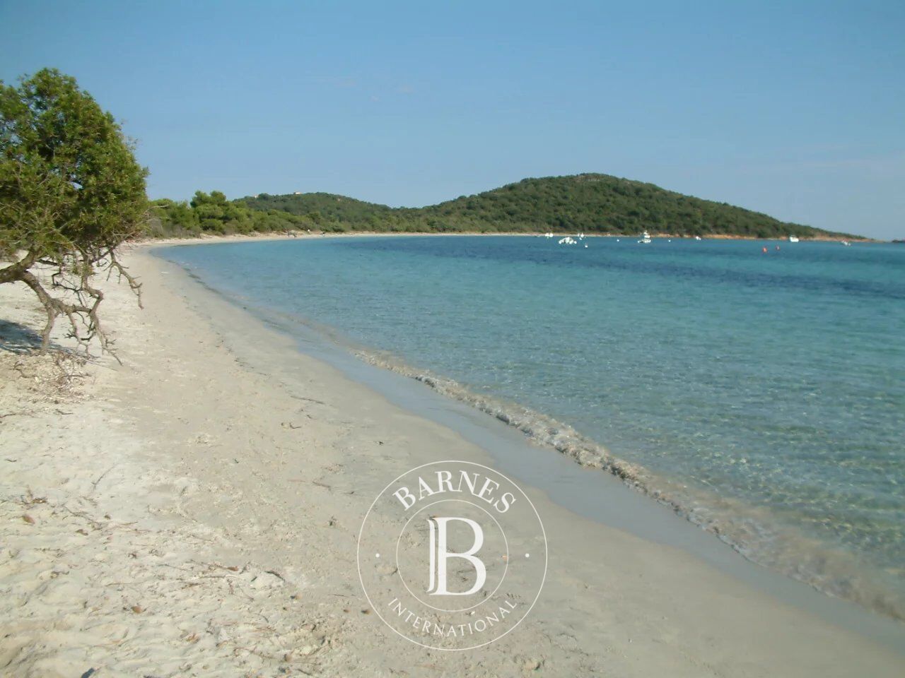 Bauland Sainte-Lucie-de-Porto-Vecchio - picture 2