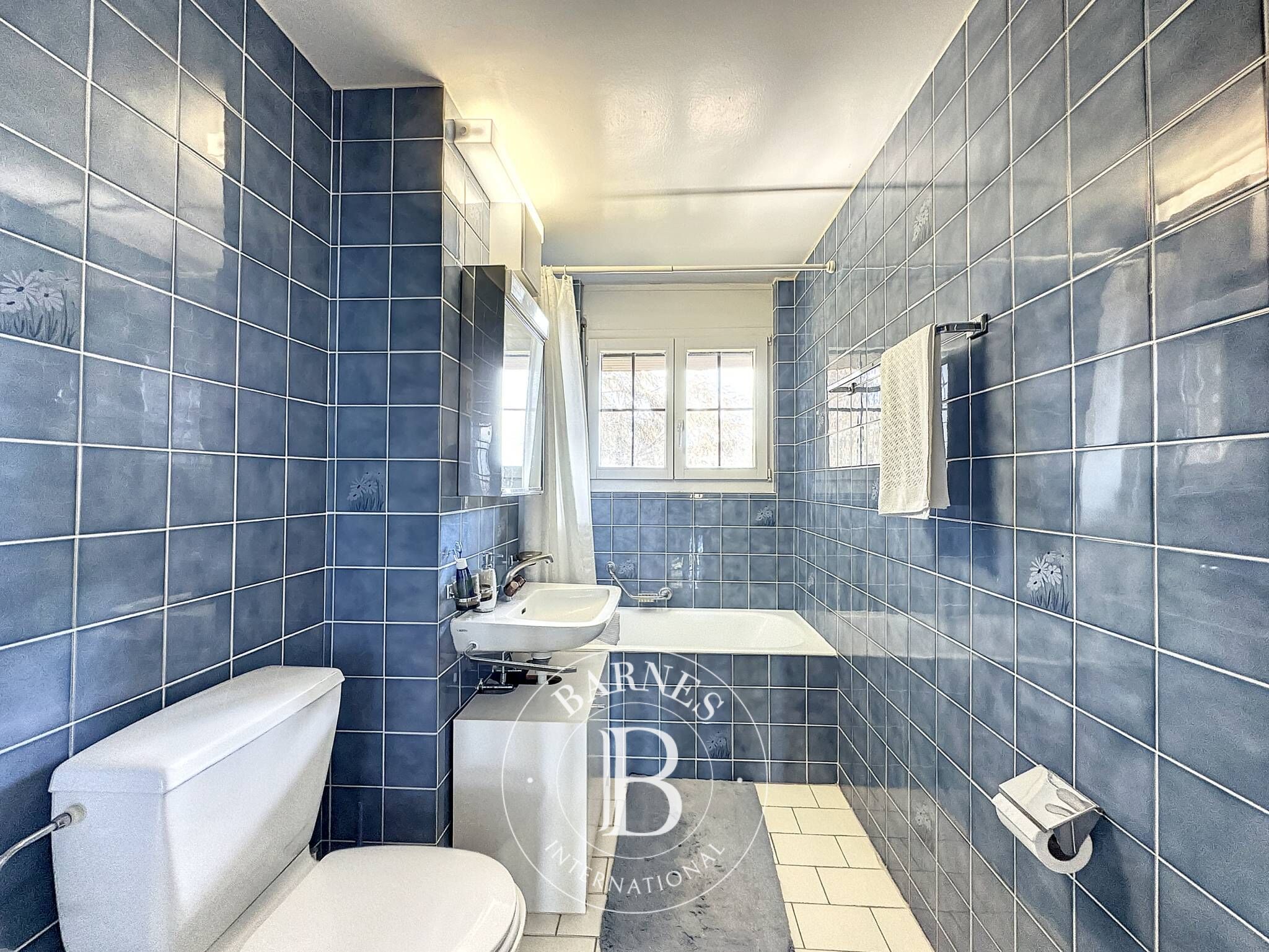 Daire Chernex - picture 14