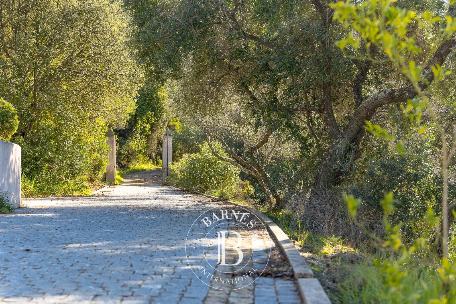 Ajaccio, Cuttoli-Corticchiato, villa 6 chambres, piscine, vue  panoramique mer - picture 3