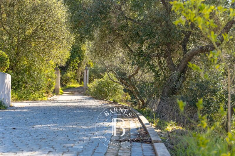 À vendre, Maison Cuttoli-Corticchiato - picture 3