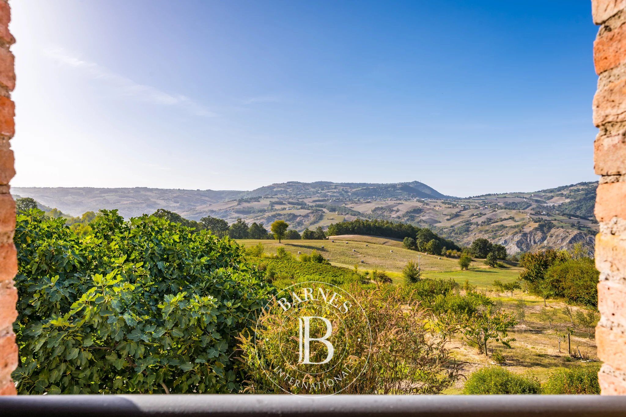 Villa Modena - picture 27