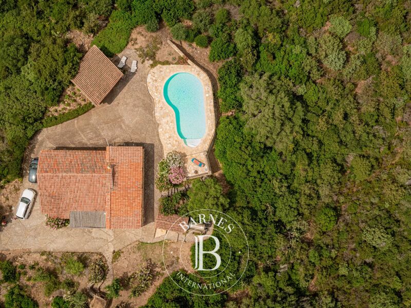 Venta, Villa Arzachena - picture 3