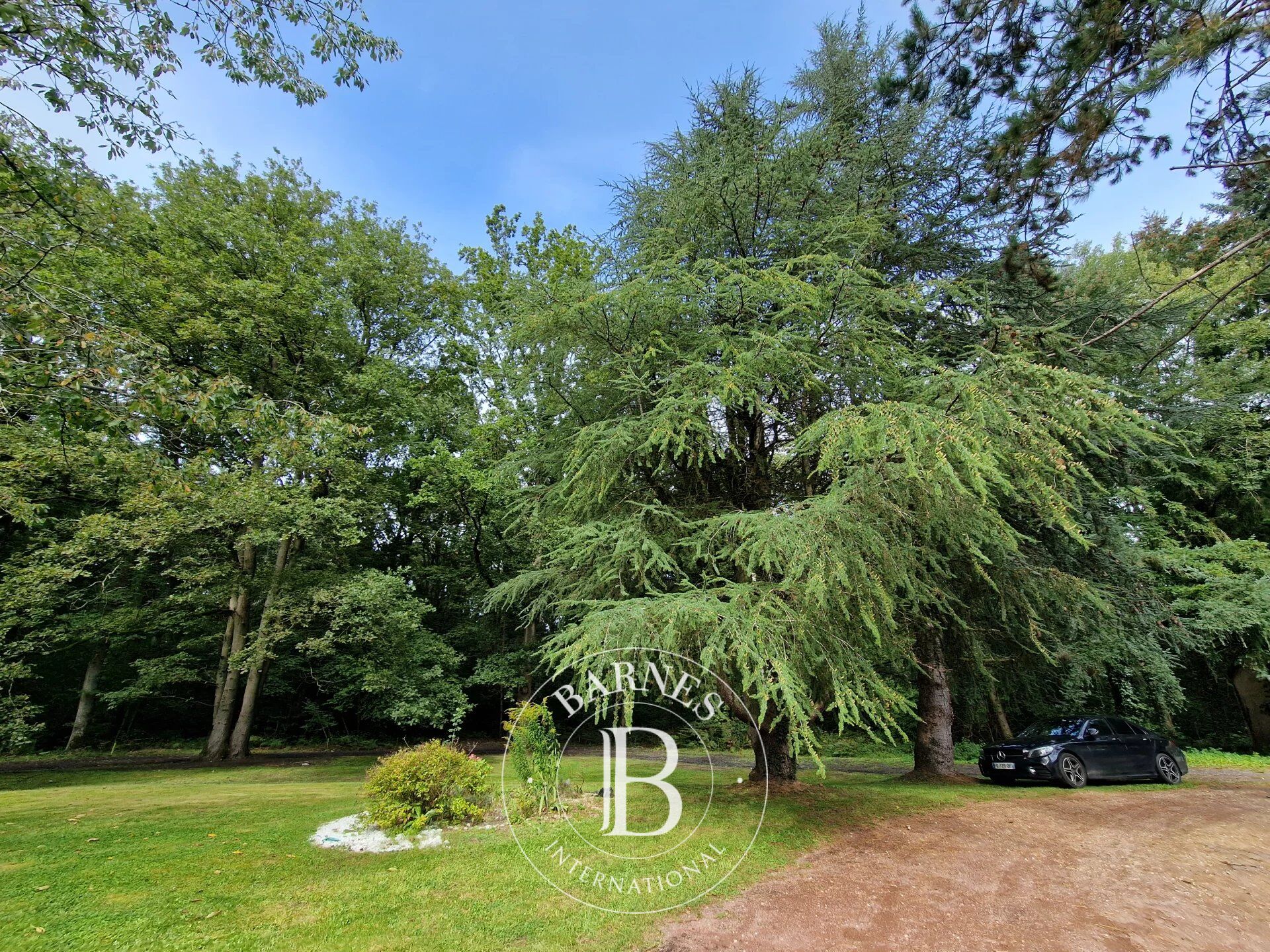 For Sale, House Rochefort-en-Yvelines - picture 4