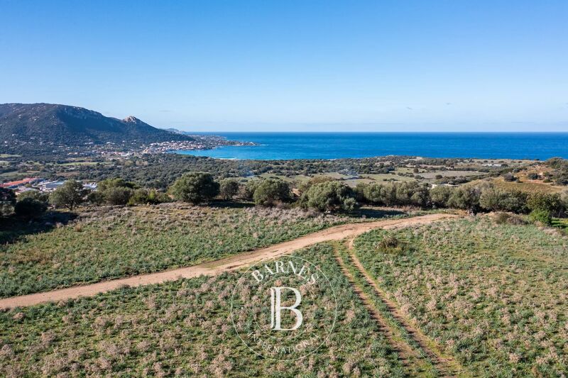 For Sale, Building land Corbara - picture 1