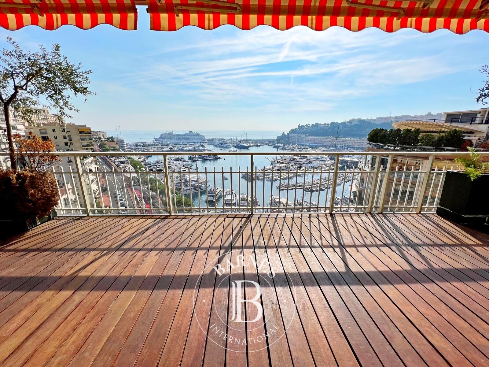 Daire Monaco - picture 4