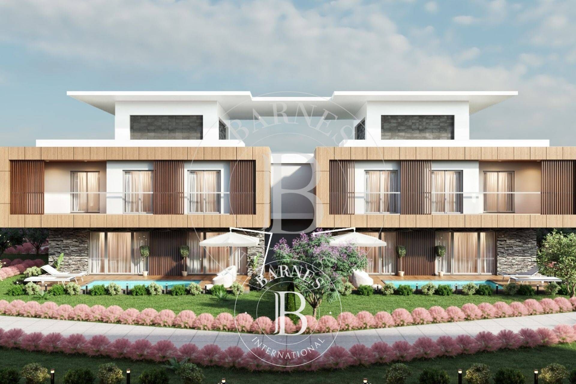 Profitez des Avantages de l'Énergie Illimitée dans Notre Projet de Villa - picture 1