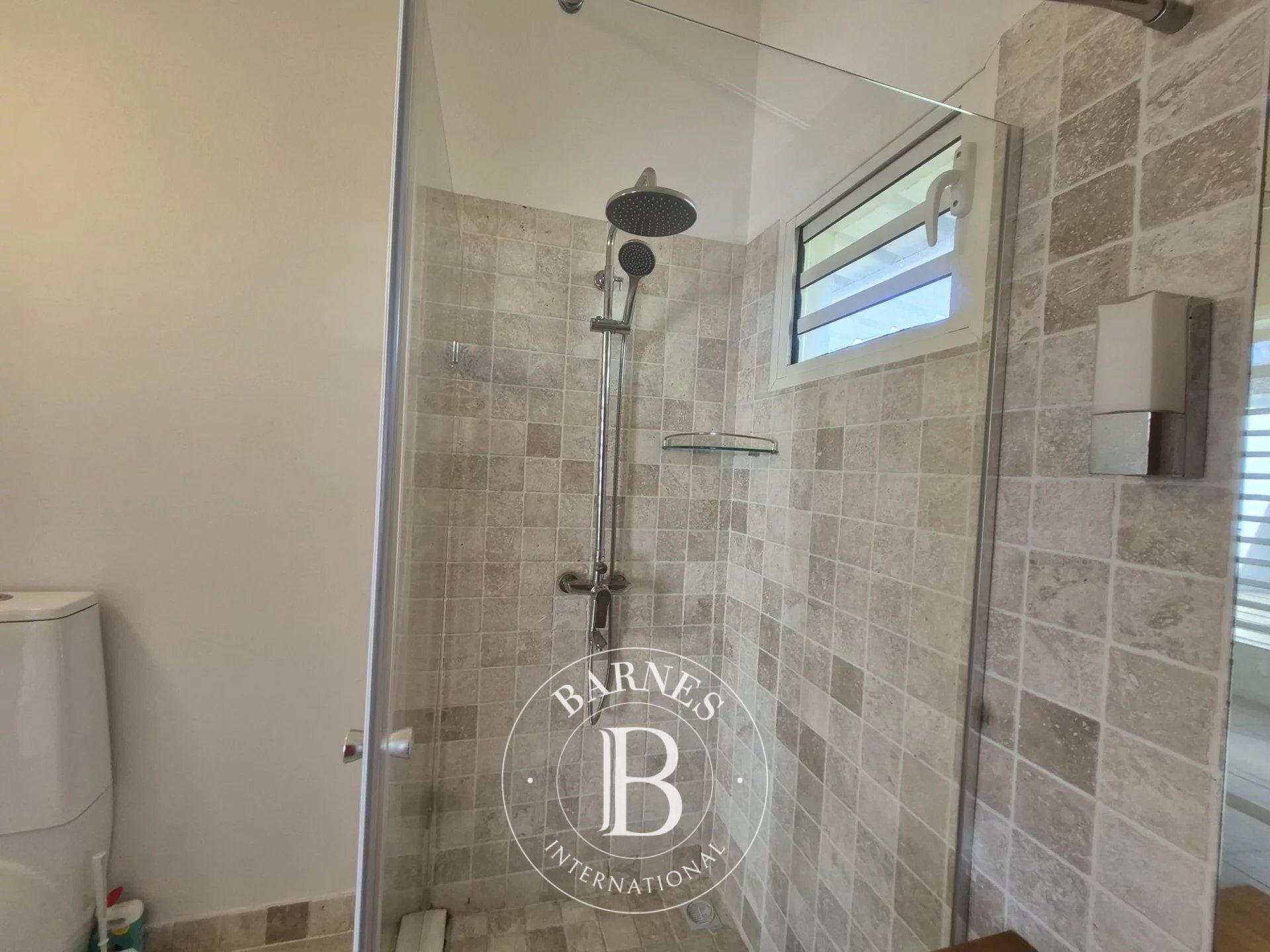 Ev Grand Gaube - picture 32