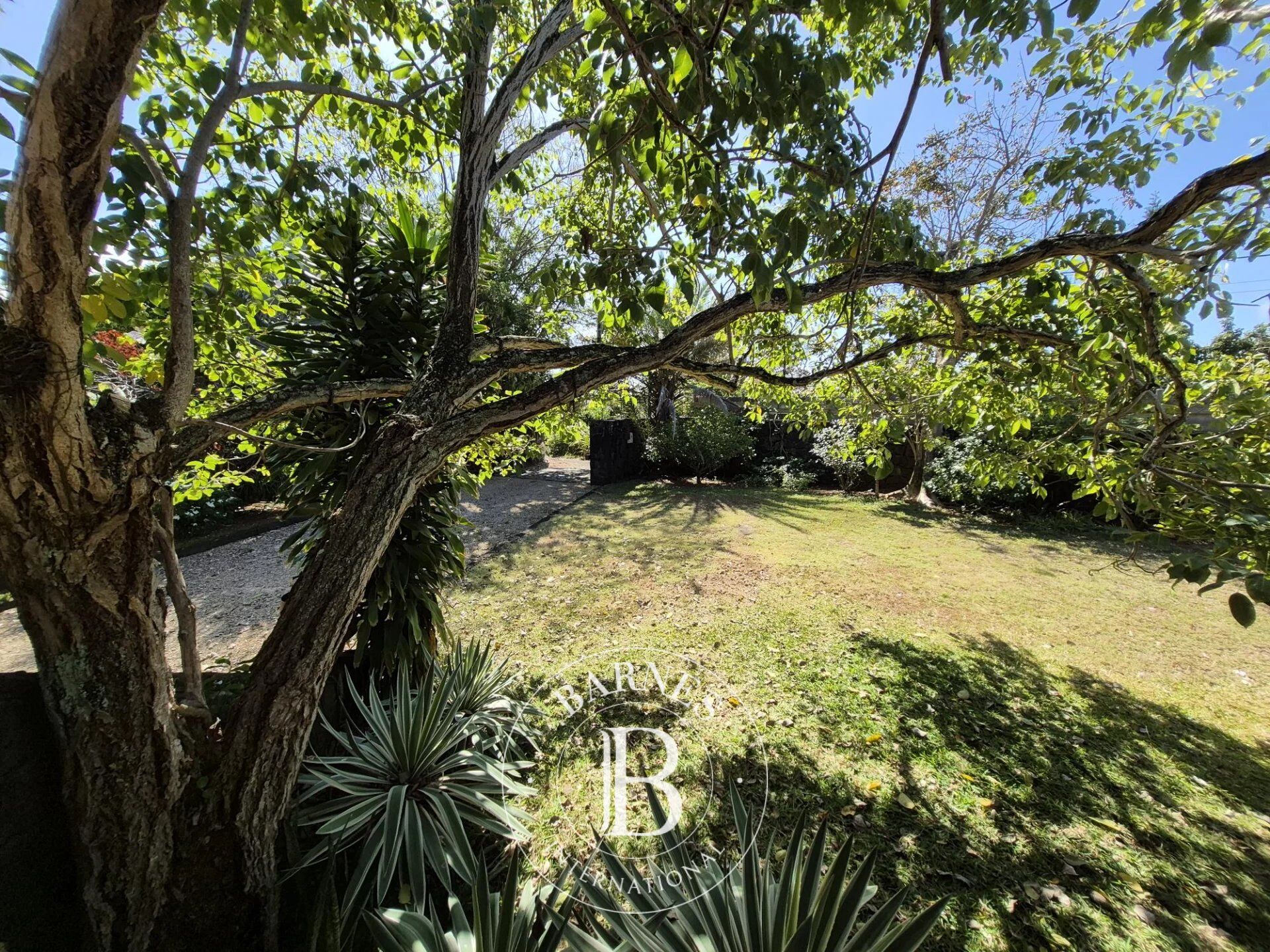 Ev Grand Gaube - picture 27