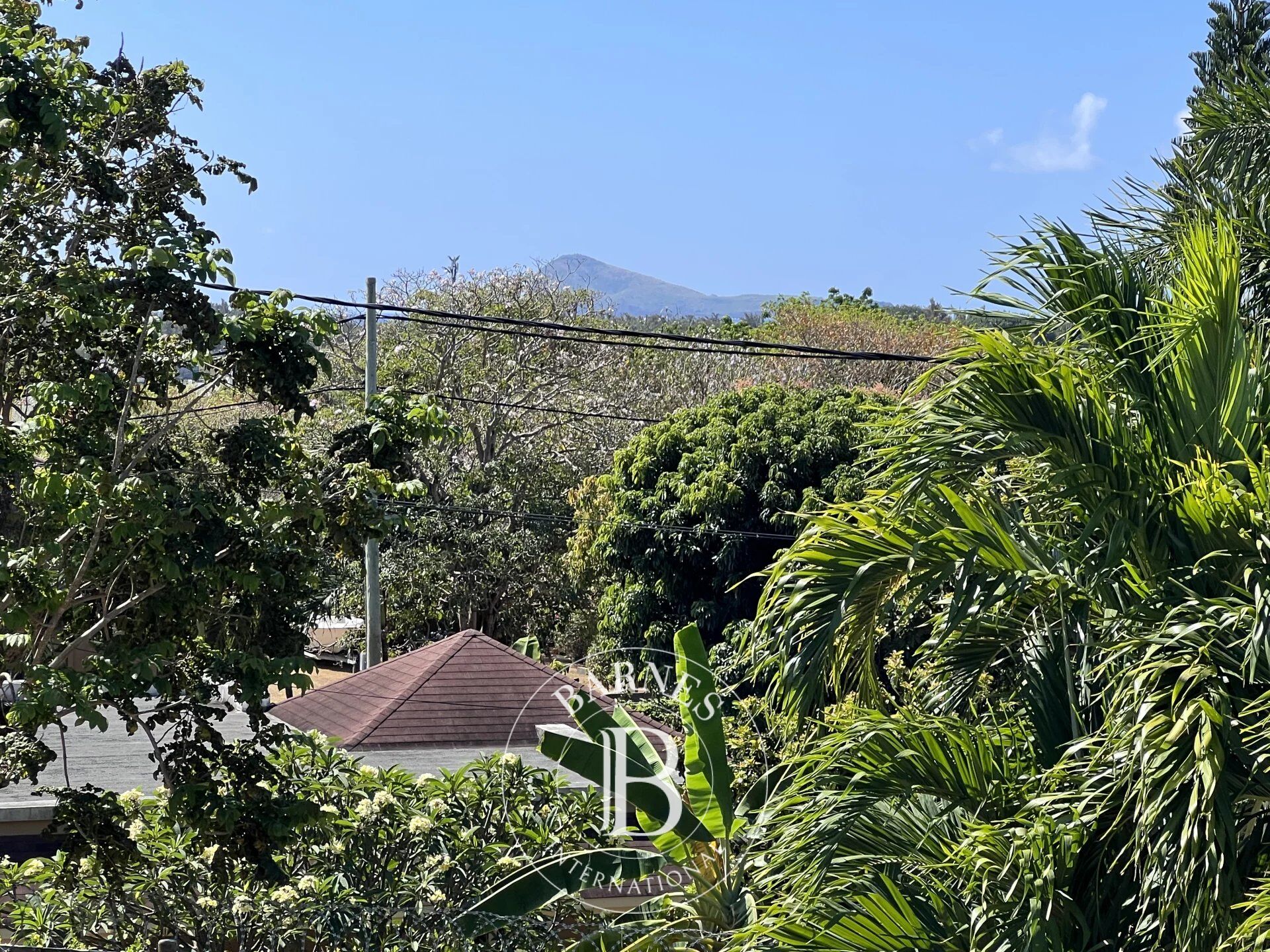 Ev Grand Gaube - picture 16