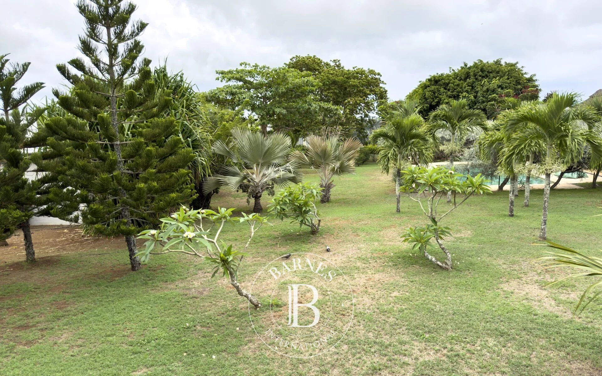 Villa Petit Raffray - picture 13