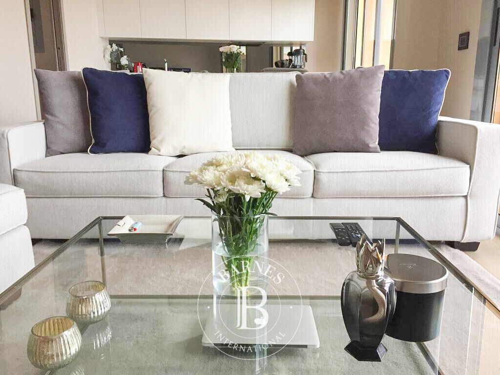 Daire Monaco - picture 4