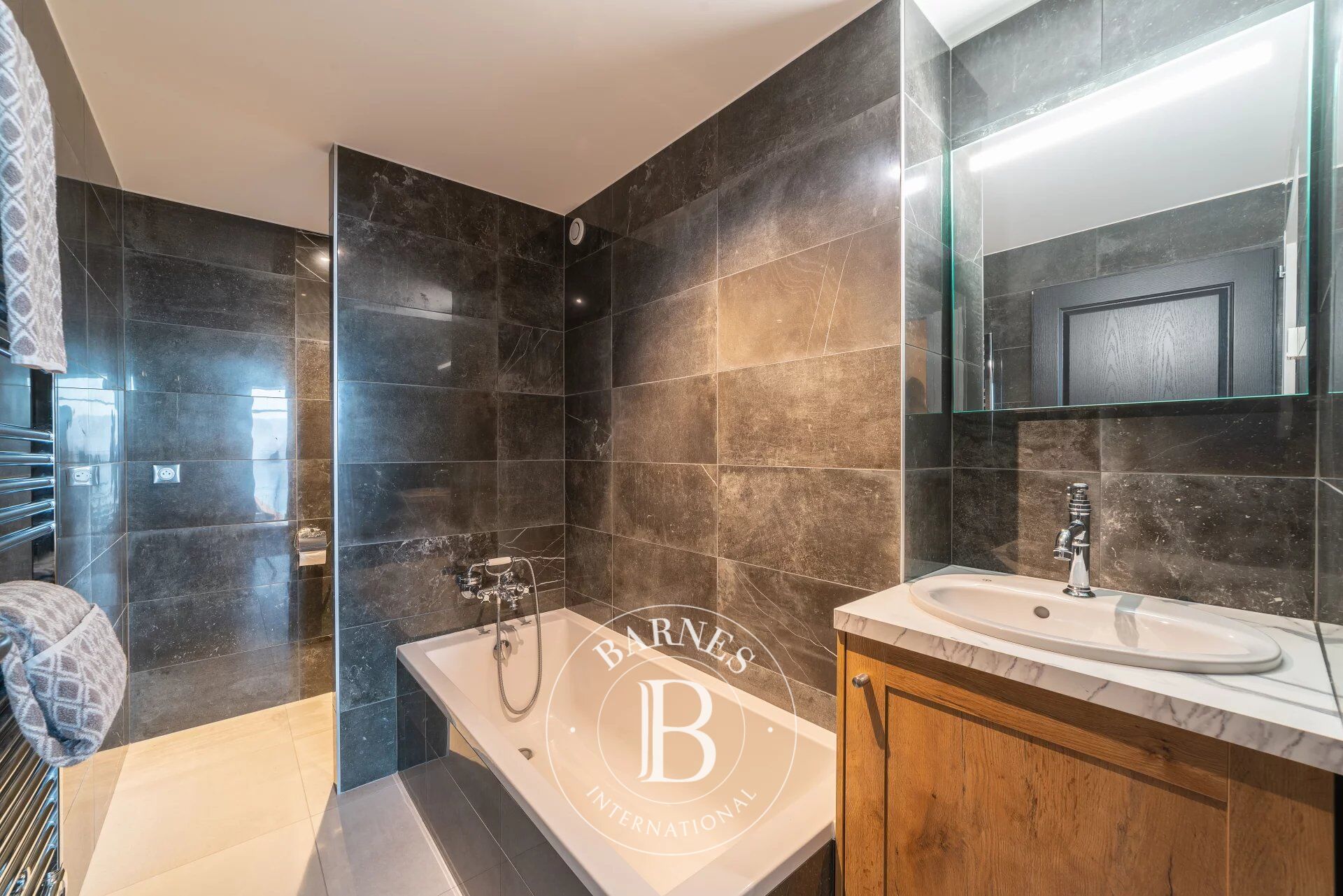 Ev Thonon-les-Bains - picture 16