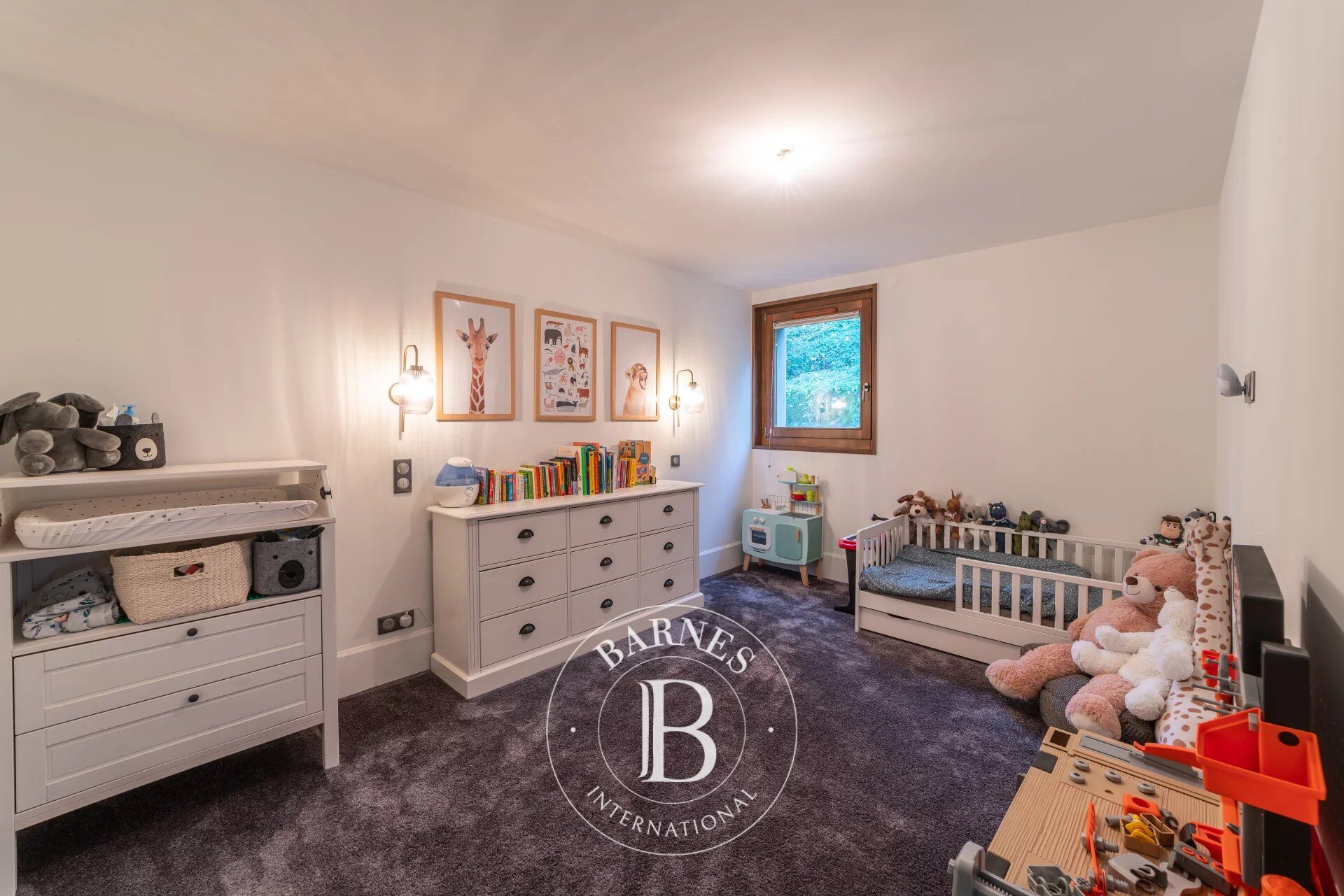 Ev Thonon-les-Bains - picture 14