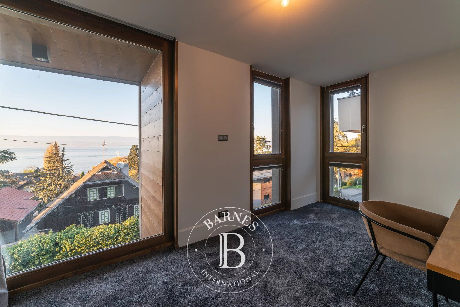 Ev Thonon-les-Bains - picture 15