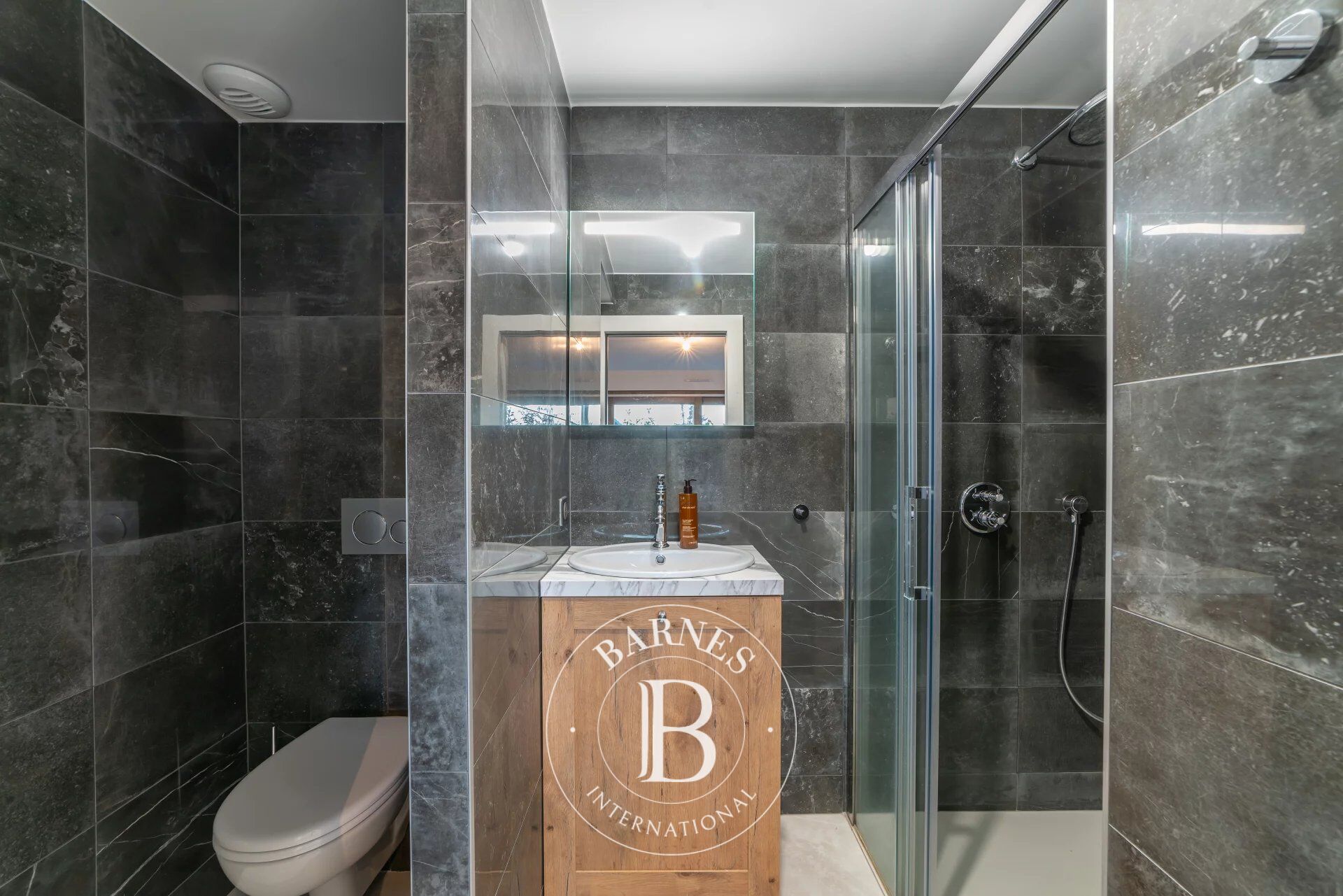 Ev Thonon-les-Bains - picture 11