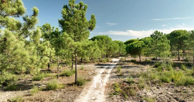 For Sale Farm | Sesimbra - picture 2