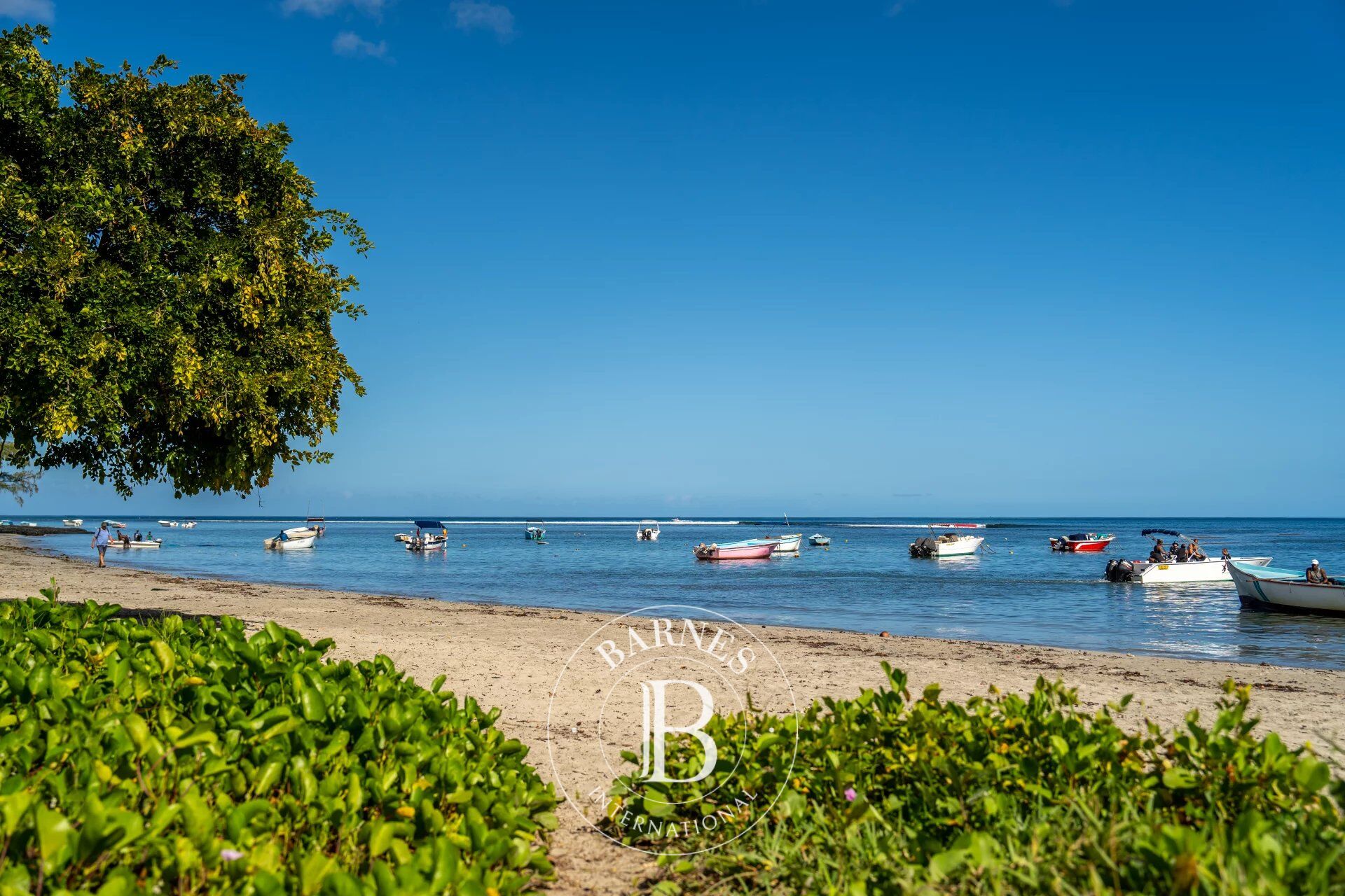 Daire Tamarin - picture 15