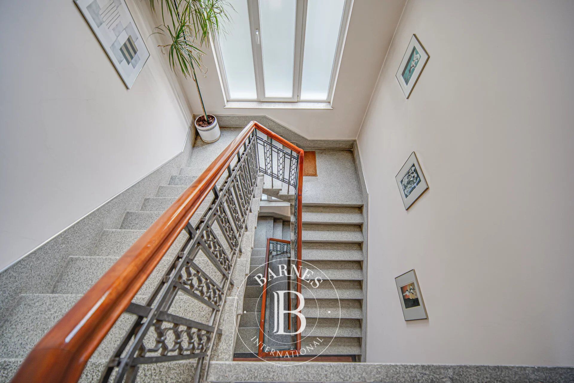 Bina Sofia - picture 12