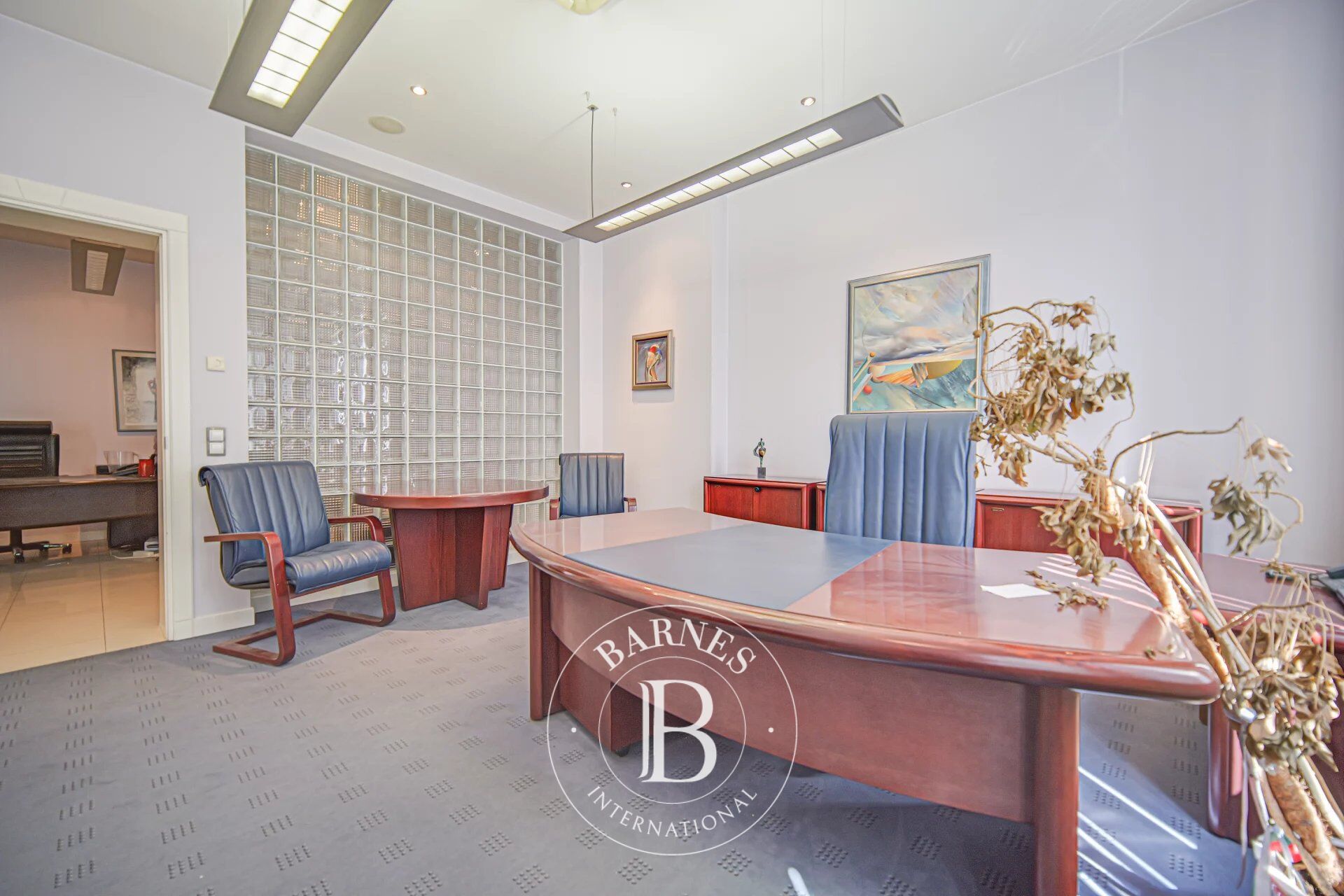 Bina Sofia - picture 16