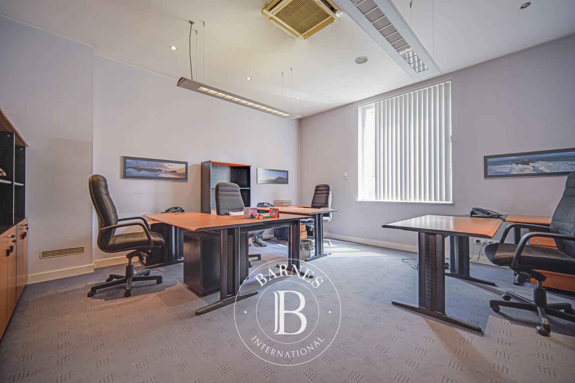 Bina Sofia - picture 14