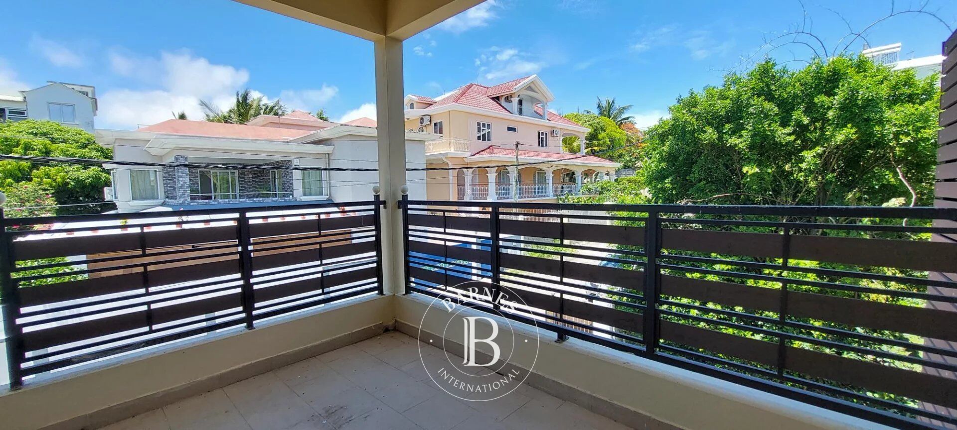 Duplex Calodyne - picture 3