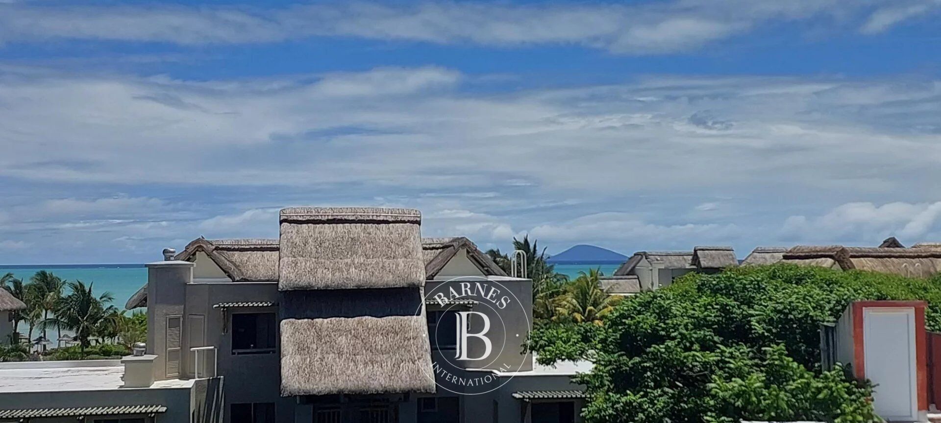 Duplex Calodyne - picture 1