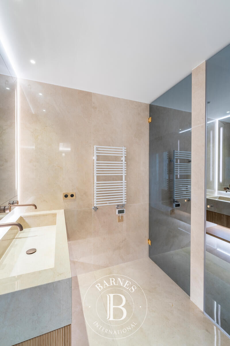 Daire Monaco - picture 8