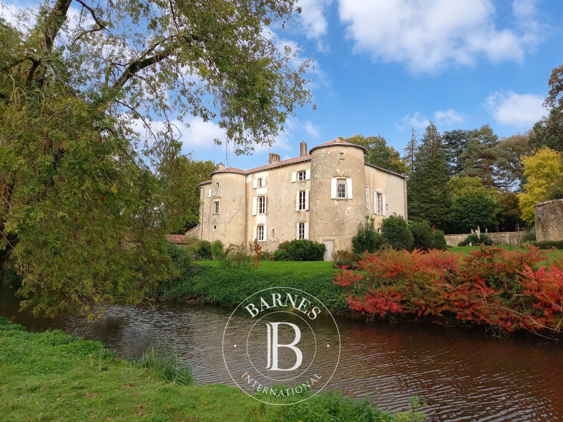 Castillo La Ferrière-en-Parthenay - picture 2
