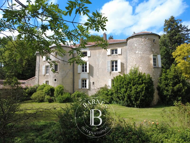 À vendre Château | Poitiers - picture 1