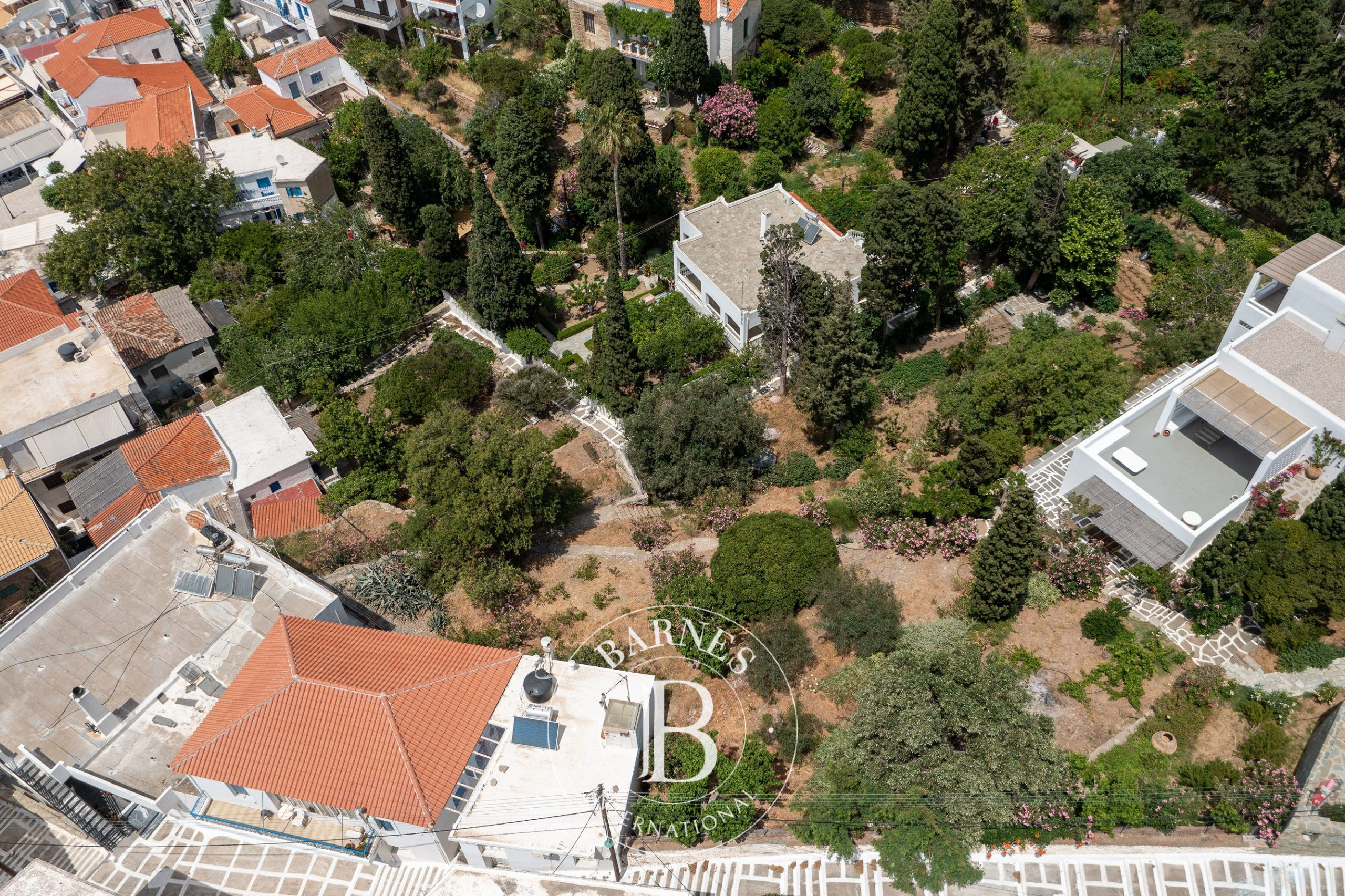 Terrain Avec Vue Panoramique - Île d' Andros - picture 3