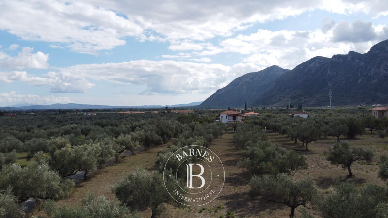 À vendre Terrain constructible | Laconia - picture 1