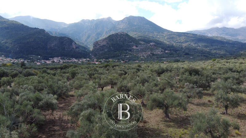 À vendre Terrain constructible | Laconia - picture 3