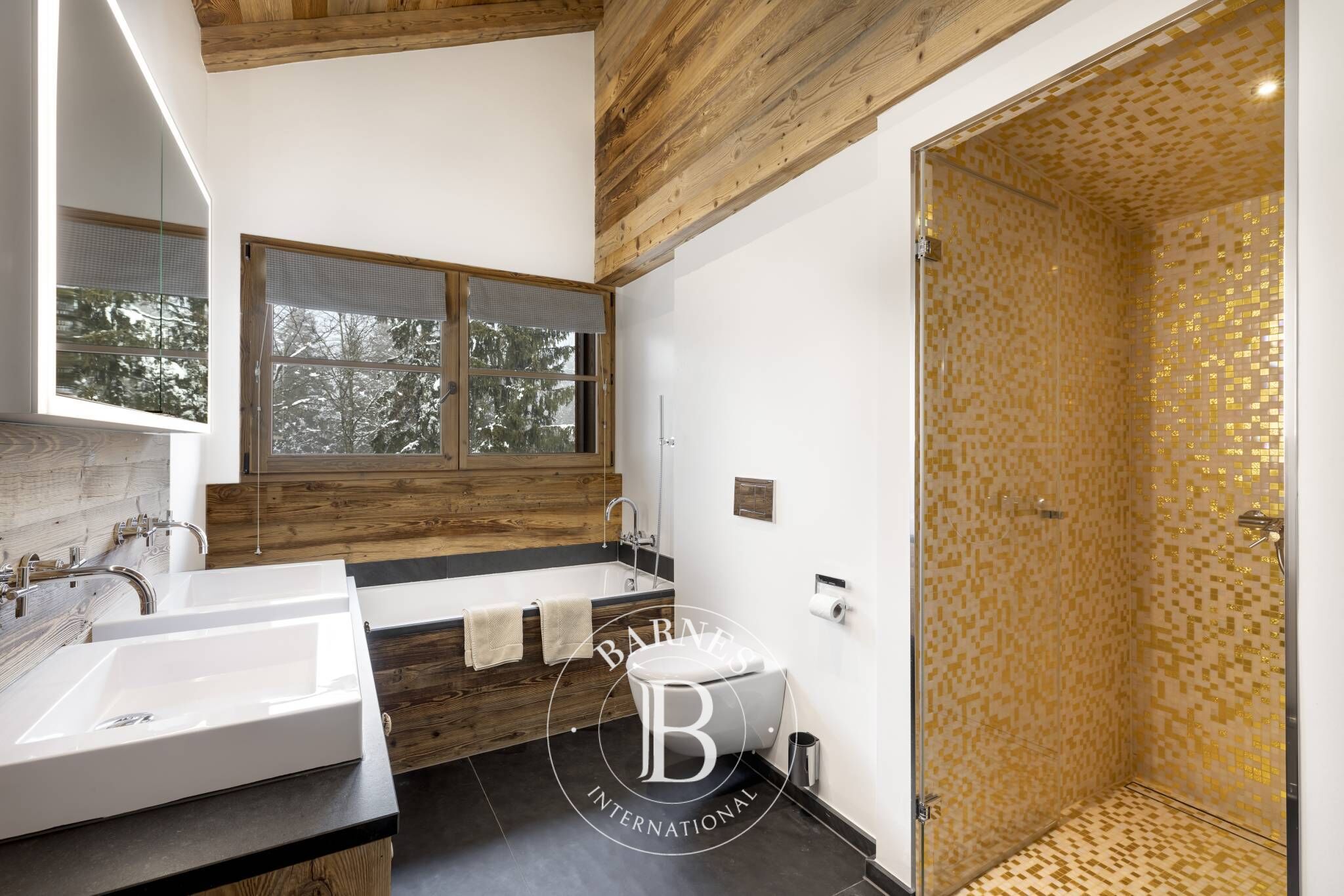 Cati kati Villars-sur-Ollon - picture 5