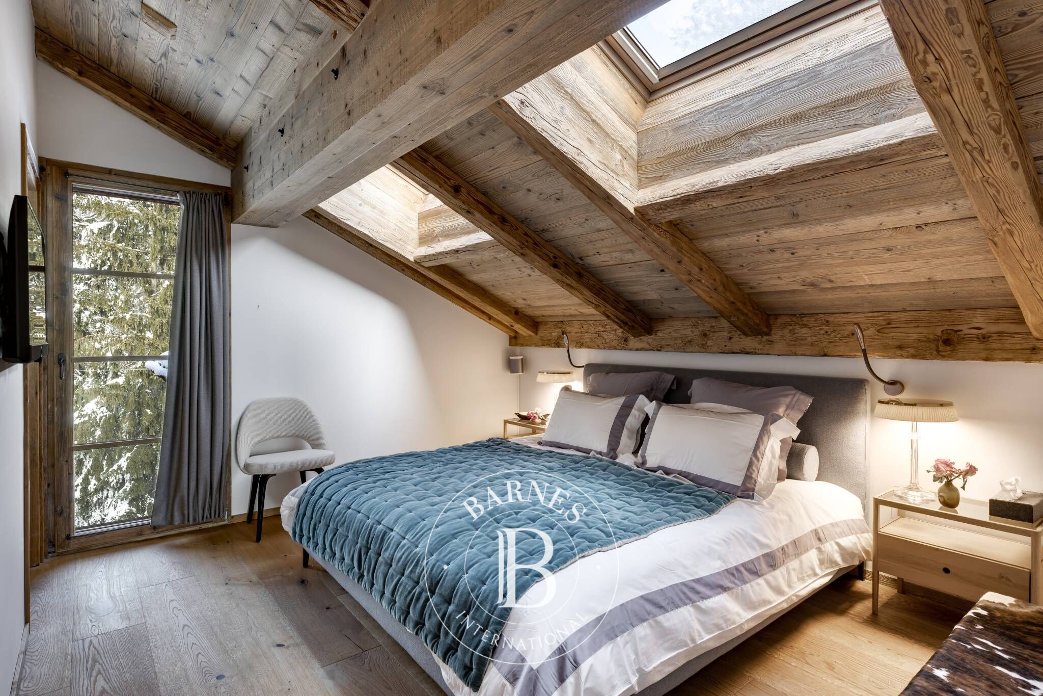 Cati kati Villars-sur-Ollon - picture 19