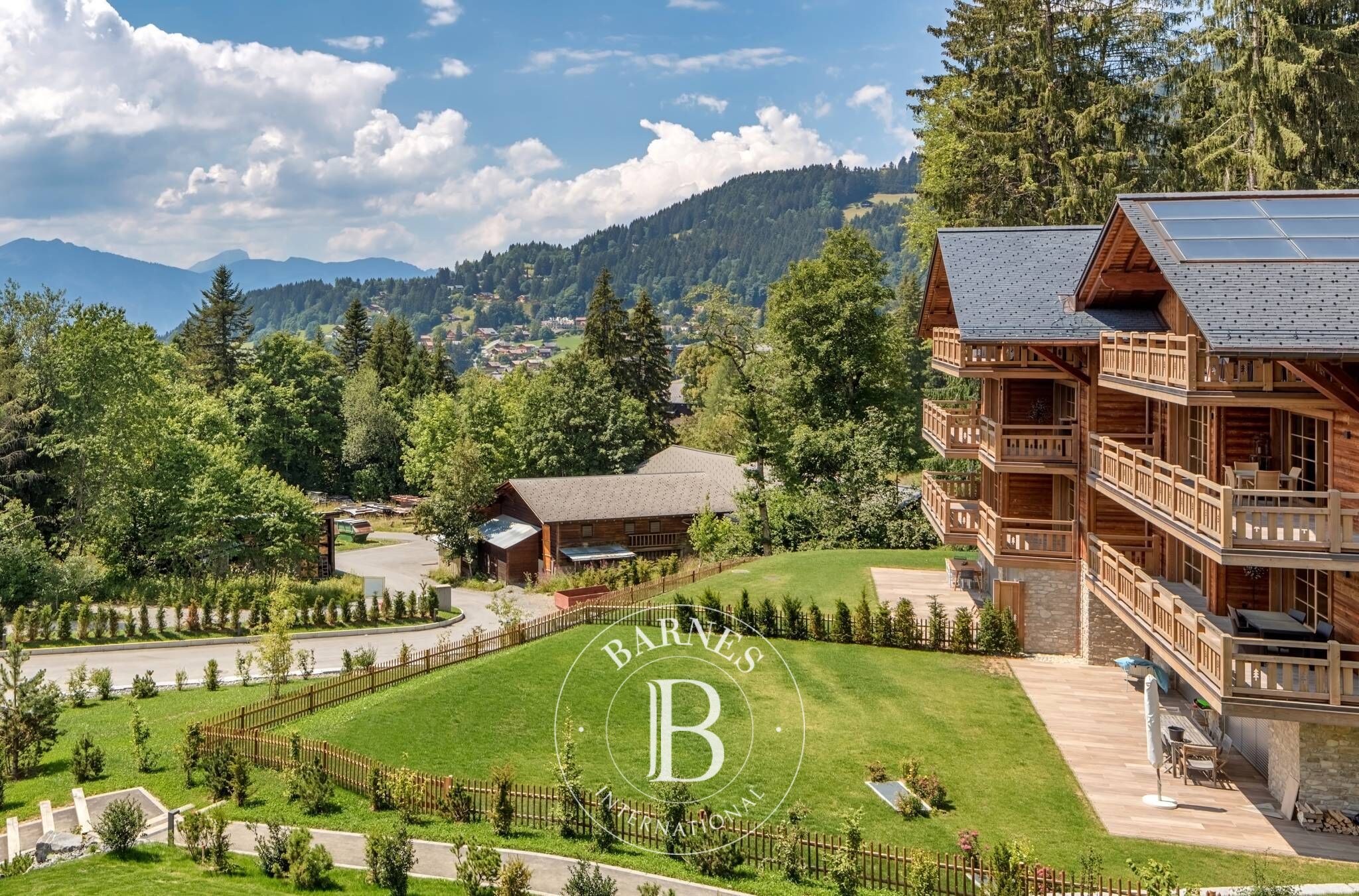 Cati kati Villars-sur-Ollon - picture 24